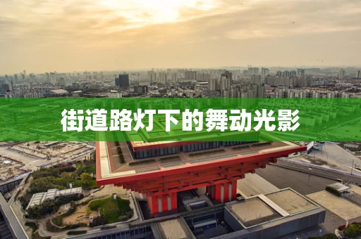街道路灯下的舞动光影