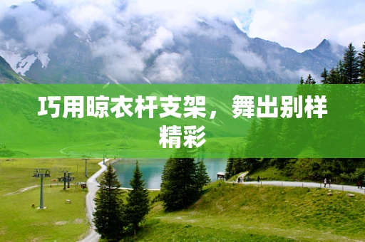 巧用晾衣杆支架，舞出别样精彩
