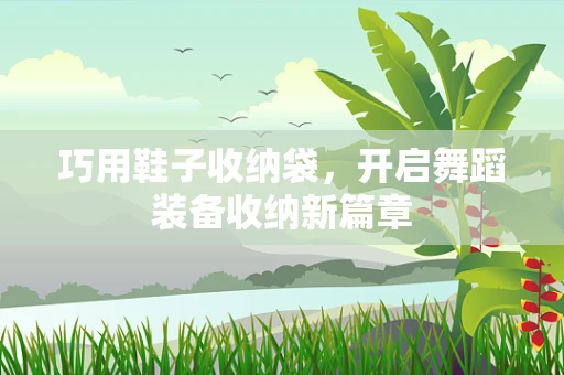 巧用鞋子收纳袋，开启舞蹈装备收纳新篇章