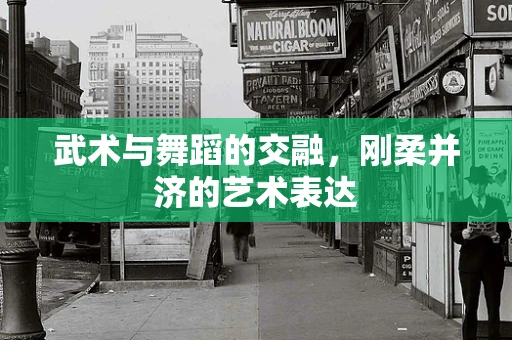 武术与舞蹈的交融，刚柔并济的艺术表达