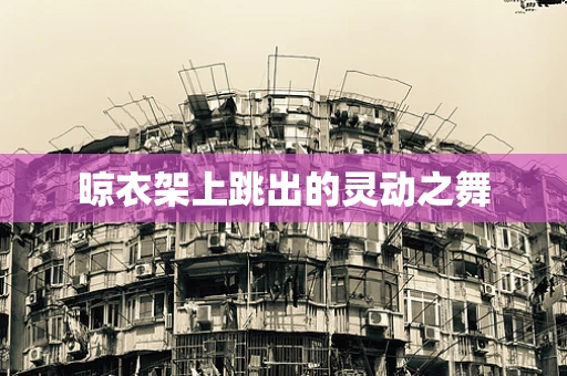 晾衣架上跳出的灵动之舞