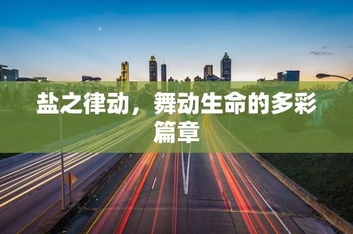 盐之律动，舞动生命的多彩篇章