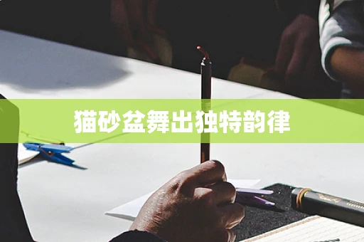 猫砂盆舞出独特韵律