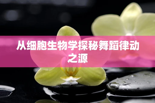 从细胞生物学探秘舞蹈律动之源