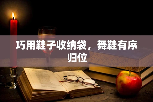 巧用鞋子收纳袋，舞鞋有序归位