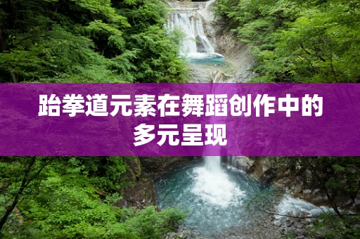 跆拳道元素在舞蹈创作中的多元呈现