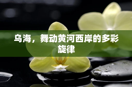 乌海，舞动黄河西岸的多彩旋律