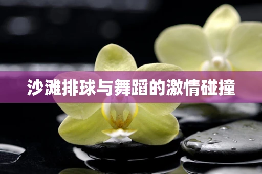 沙滩排球与舞蹈的激情碰撞