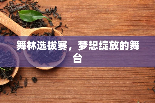 舞林选拔赛，梦想绽放的舞台