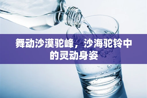 舞动沙漠驼峰，沙海驼铃中的灵动身姿