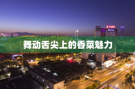 舞动舌尖上的香菜魅力