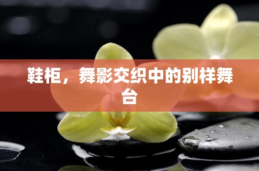 鞋柜，舞影交织中的别样舞台