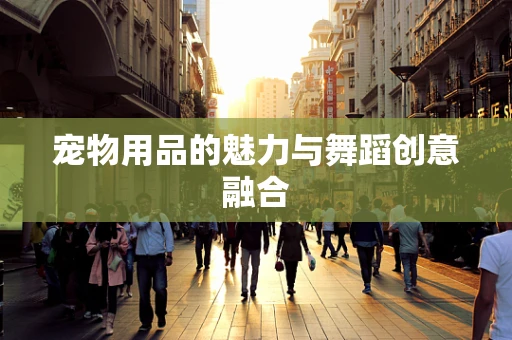 宠物用品的魅力与舞蹈创意融合