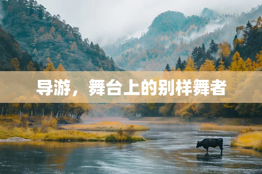 导游，舞台上的别样舞者