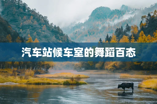 汽车站候车室的舞蹈百态