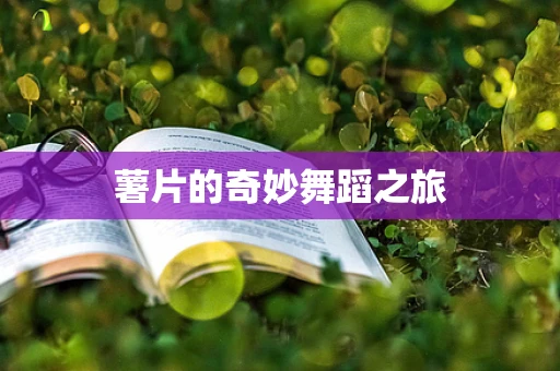 薯片的奇妙舞蹈之旅
