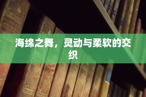 海绵之舞，灵动与柔软的交织