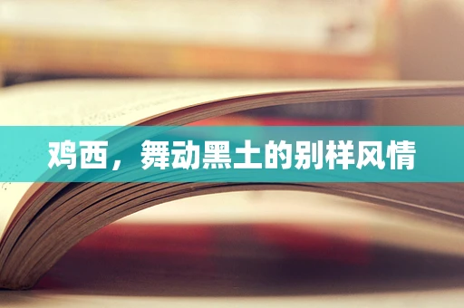 鸡西，舞动黑土的别样风情