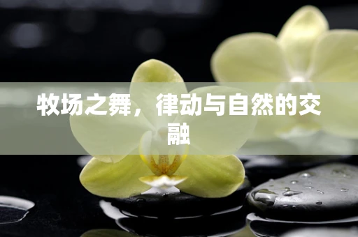 牧场之舞，律动与自然的交融