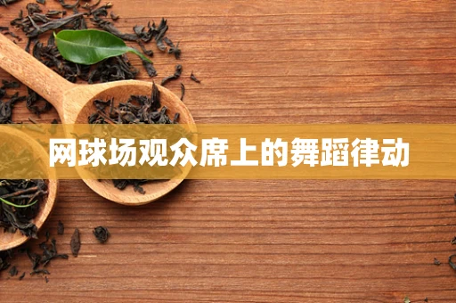 网球场观众席上的舞蹈律动