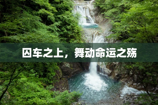 囚车之上，舞动命运之殇