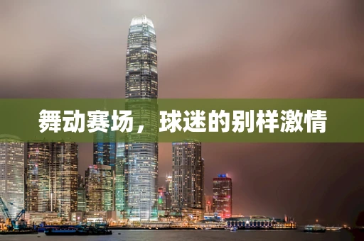 舞动赛场，球迷的别样激情