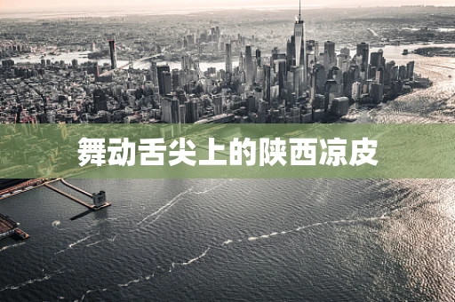 舞动舌尖上的陕西凉皮