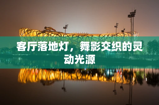 客厅落地灯，舞影交织的灵动光源