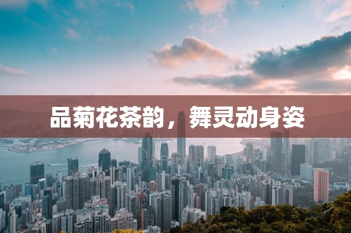 品菊花茶韵，舞灵动身姿