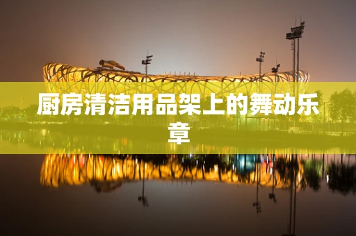 厨房清洁用品架上的舞动乐章