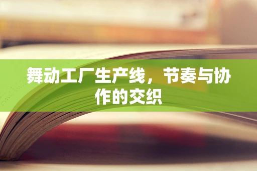 舞动工厂生产线，节奏与协作的交织