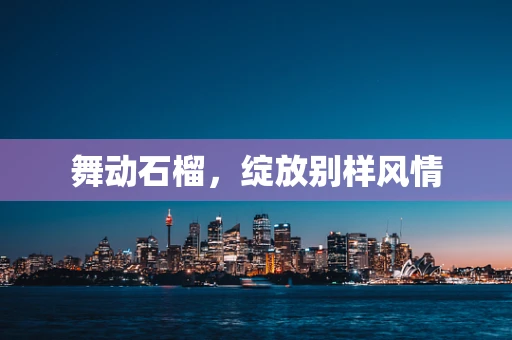舞动石榴，绽放别样风情