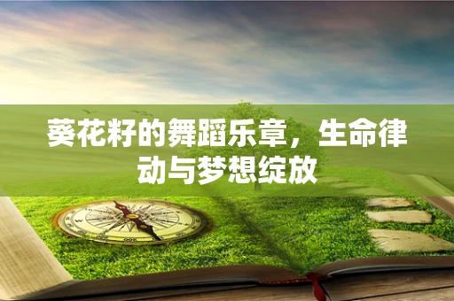 葵花籽的舞蹈乐章，生命律动与梦想绽放
