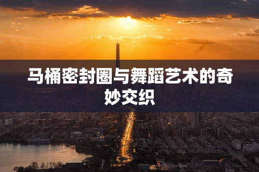 马桶密封圈与舞蹈艺术的奇妙交织