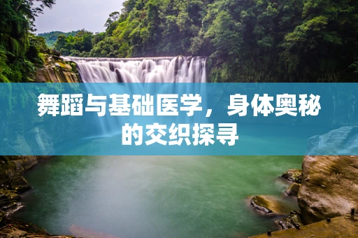 舞蹈与基础医学，身体奥秘的交织探寻