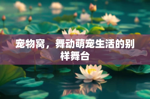 宠物窝，舞动萌宠生活的别样舞台