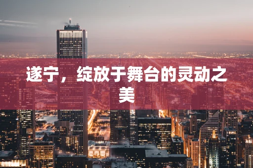 遂宁，绽放于舞台的灵动之美