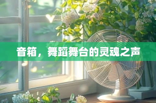 音箱，舞蹈舞台的灵魂之声