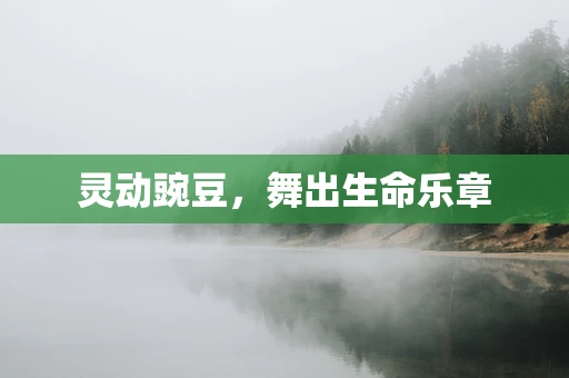 灵动豌豆，舞出生命乐章