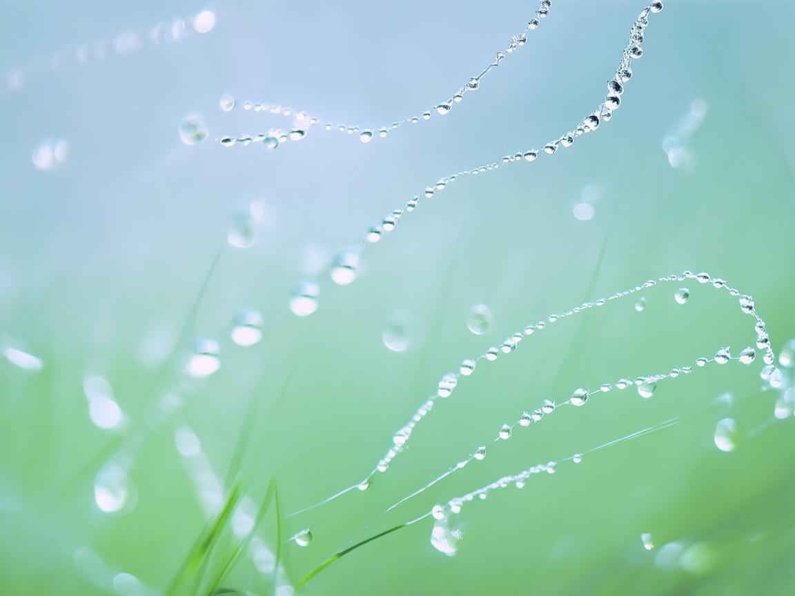 谷雨时节，如何以春雨绵绵为灵感编织舞蹈篇章？