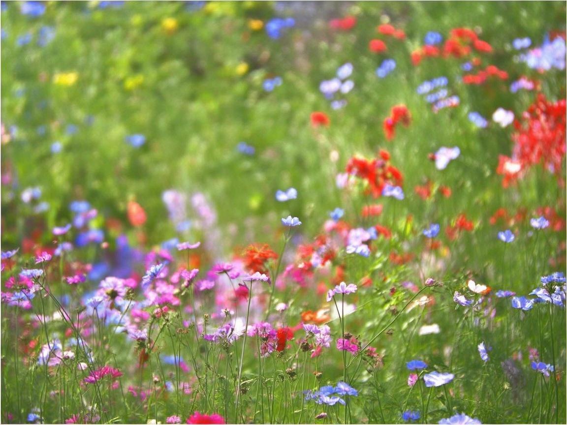 舞动内江,魅力与风情的交织 舞动内江,魅力与风情的交织