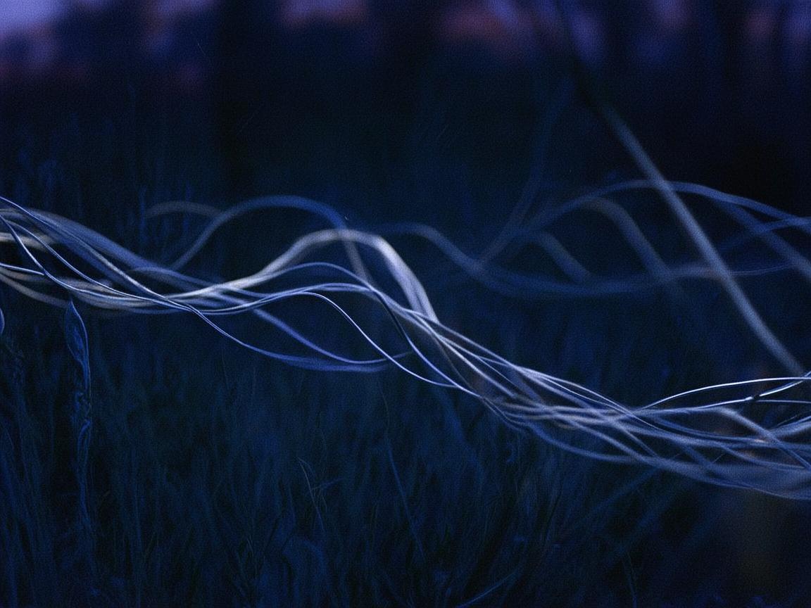 舞动的电话线，连接心灵与肢体的艺术纽带